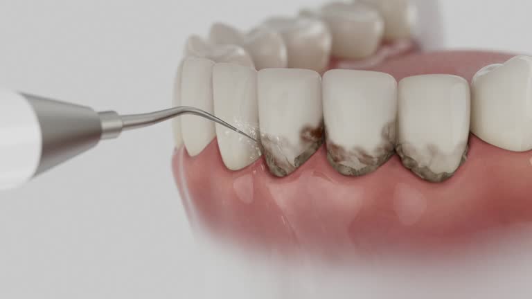 Reliable Dental contractor in Lake Orion, MI by Dentist Open Now